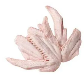 DUCK-TO Duck Wings 10 X 1KG