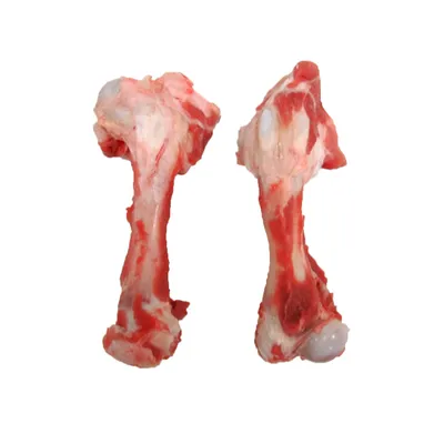 Pork Femur Bone