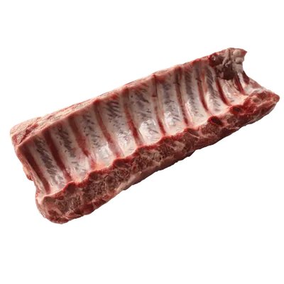 Pork Loin Ribs PL