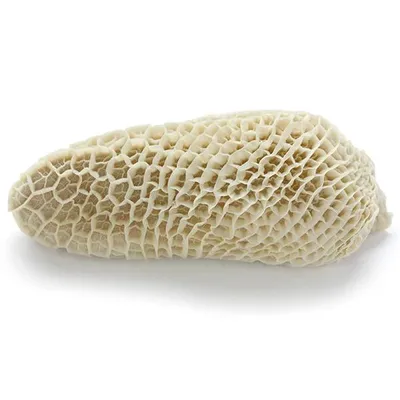 Beef Honeycomb 16 X 800G