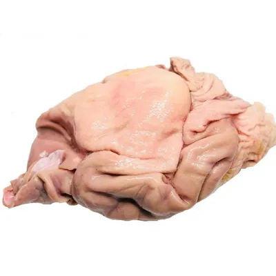 Pork Stomach 16 X 1KG