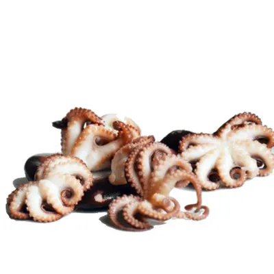 SEALIGHT Baby Octopus 40/60 10 X 800G