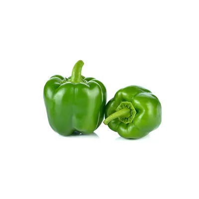 Bell Pepper Green ES 5KG