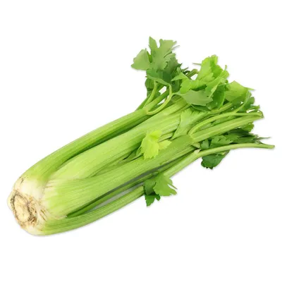 Celery Sticks NL 12KG