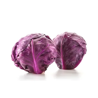 Red Cabbage NL 10KG