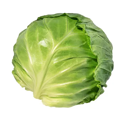 White Cabbage NL 25KG