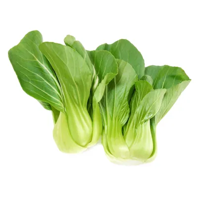 Shanghai Pak Choi NL 8KG