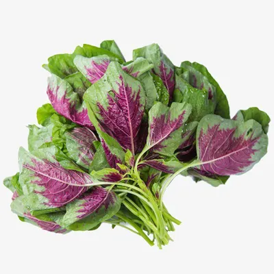 Hing Choi NL 5KG