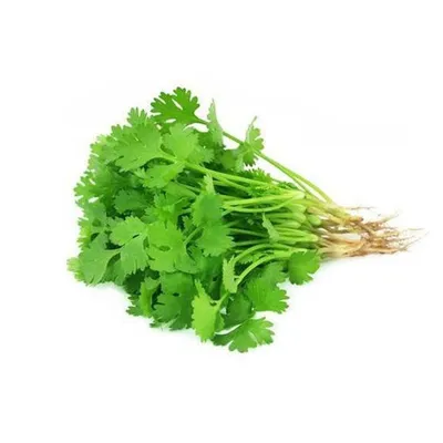 Coriander ES 20KPL