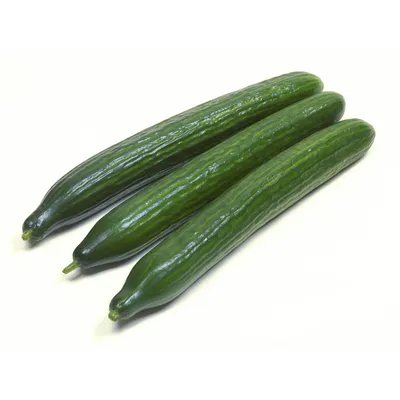 Cucumber FI 10KG