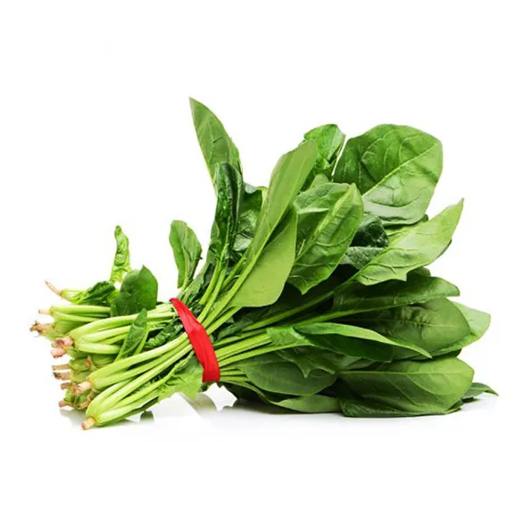 Spinach ES 12KPL