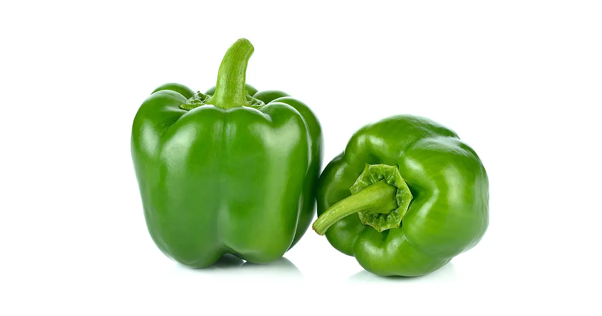 Bell Pepper Green ES 5KG