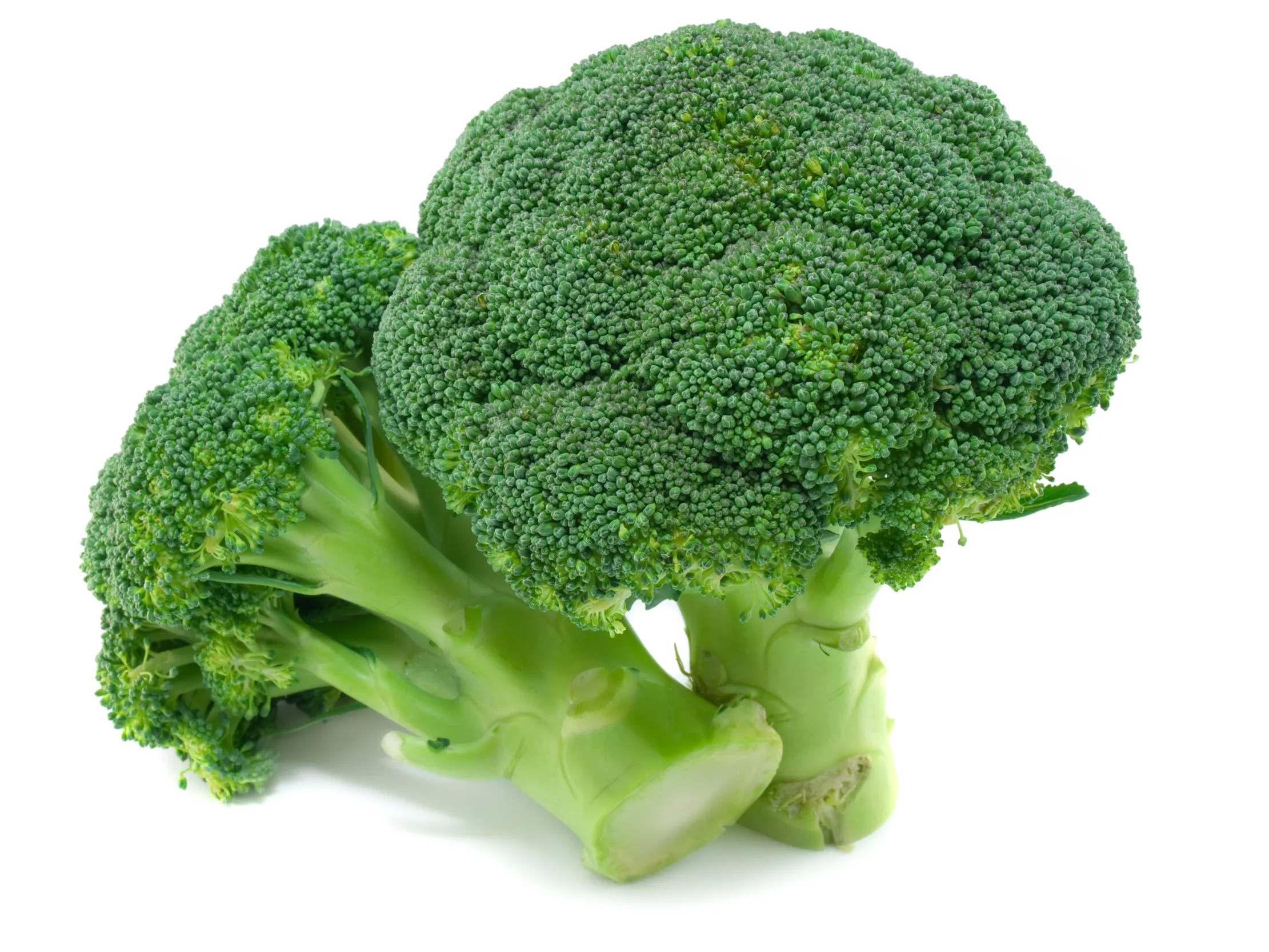 Broccoli ES 8KG