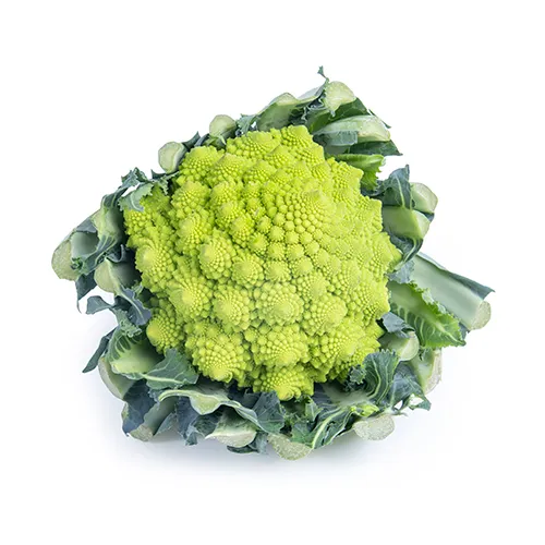 Romanesco FR 6KG