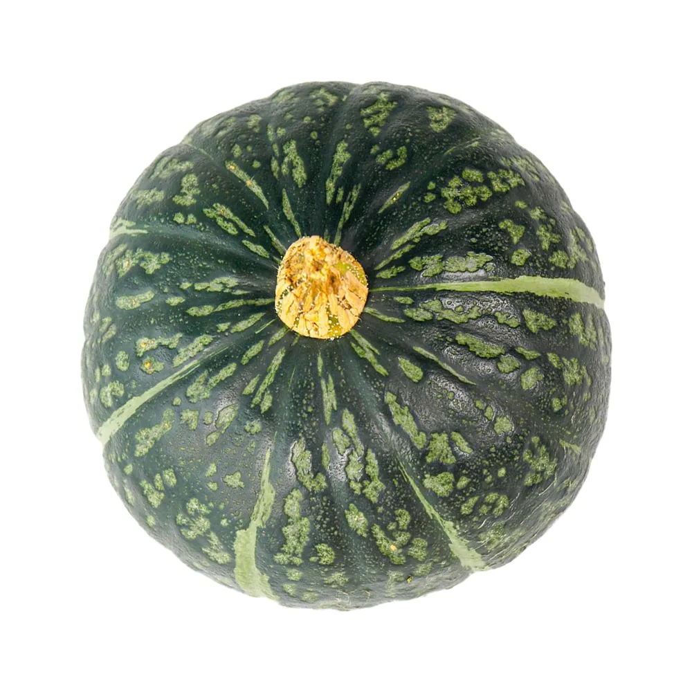 Kabocha Squash