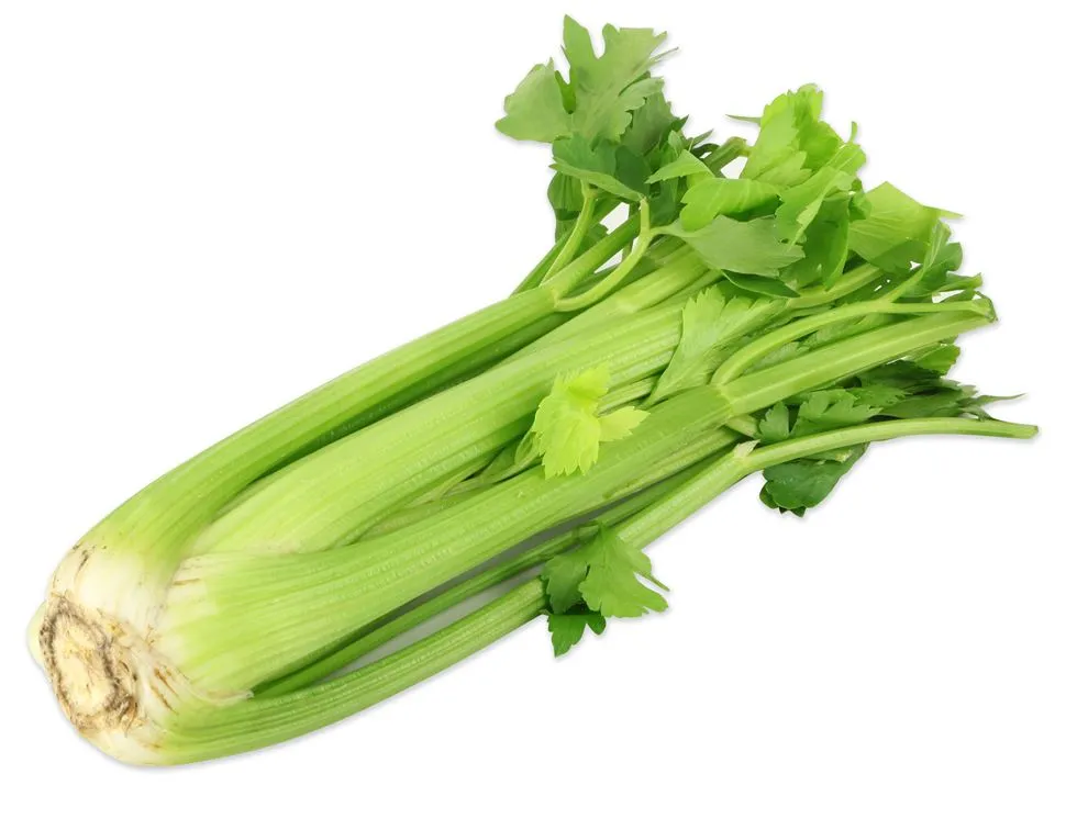 Celery Sticks ES 10KG
