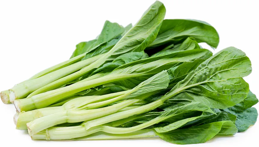 Choy Sum NL 7KG