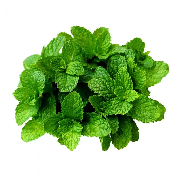 Mint 10 X 100G