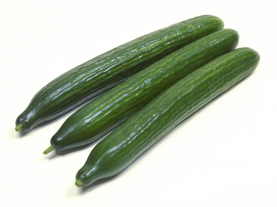 Cucumber NL 4,2KG