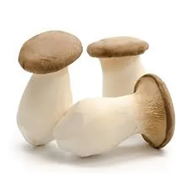Eryngii Mushroom 2 X 2KG