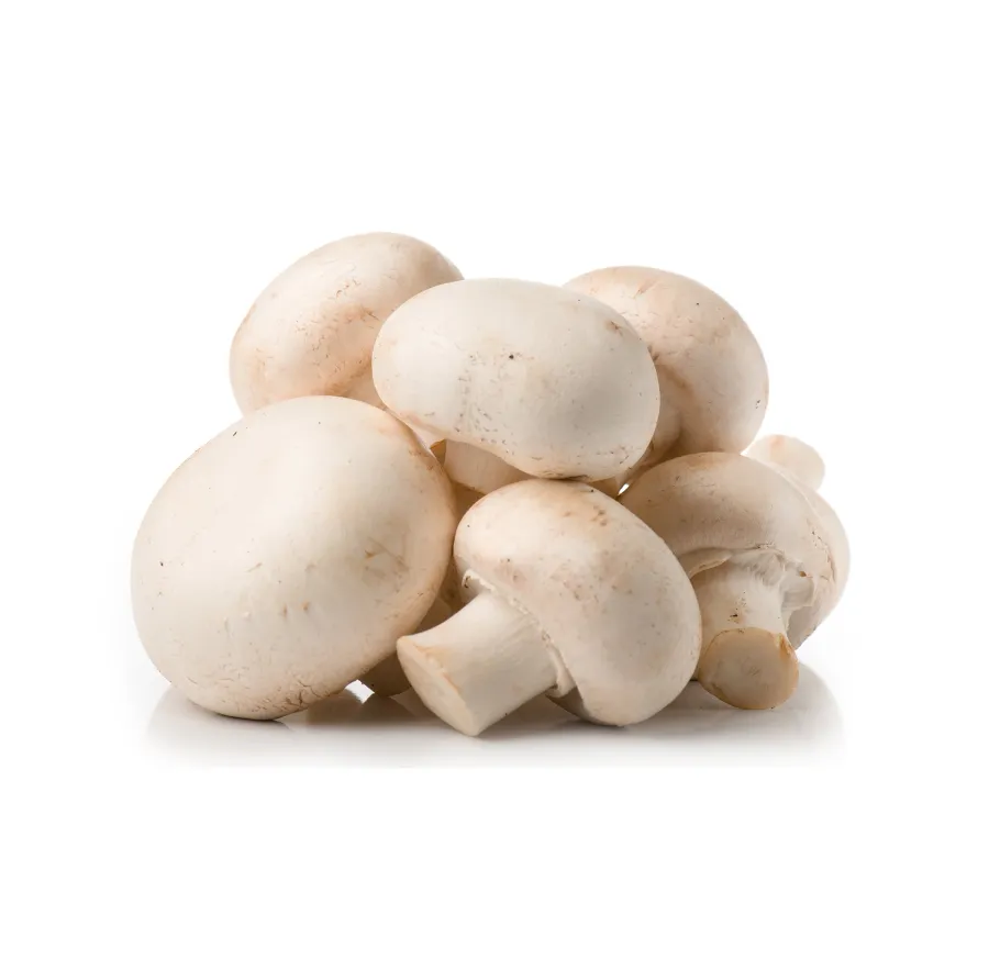 Mushrooms Medium NL 3KG