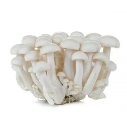 Shimeji Mushroom White 20 X 150G