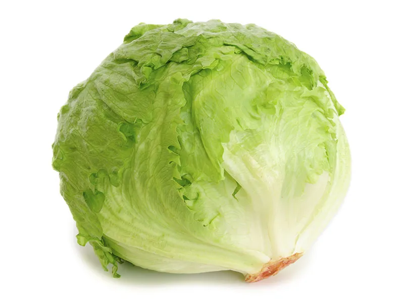 Iceberg Lettuce ES 5KG