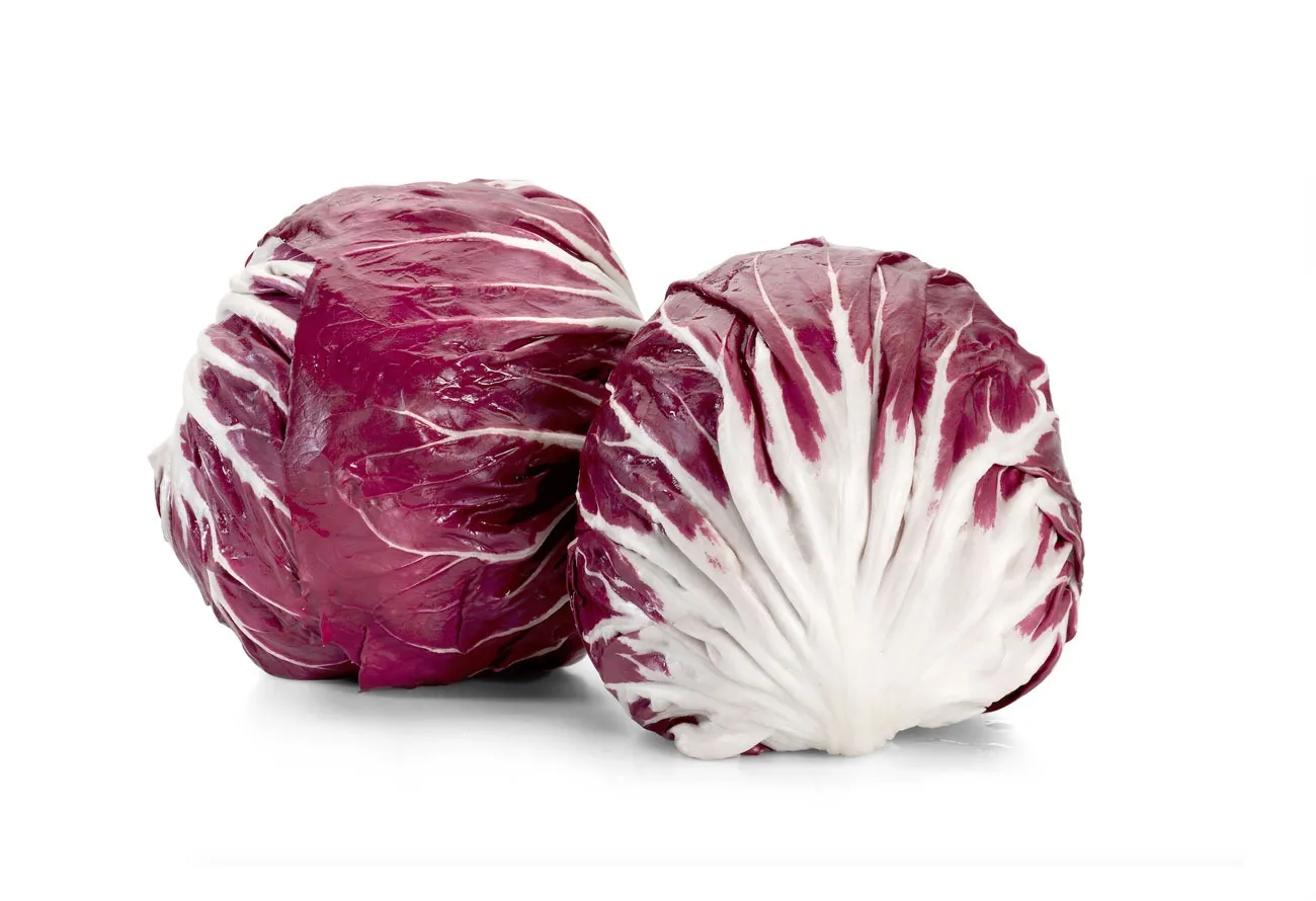Radicchio IT 2,5KG