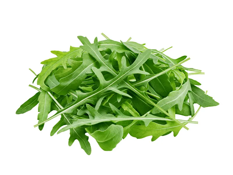 Rucola Lettuce IT 8 X 125G
