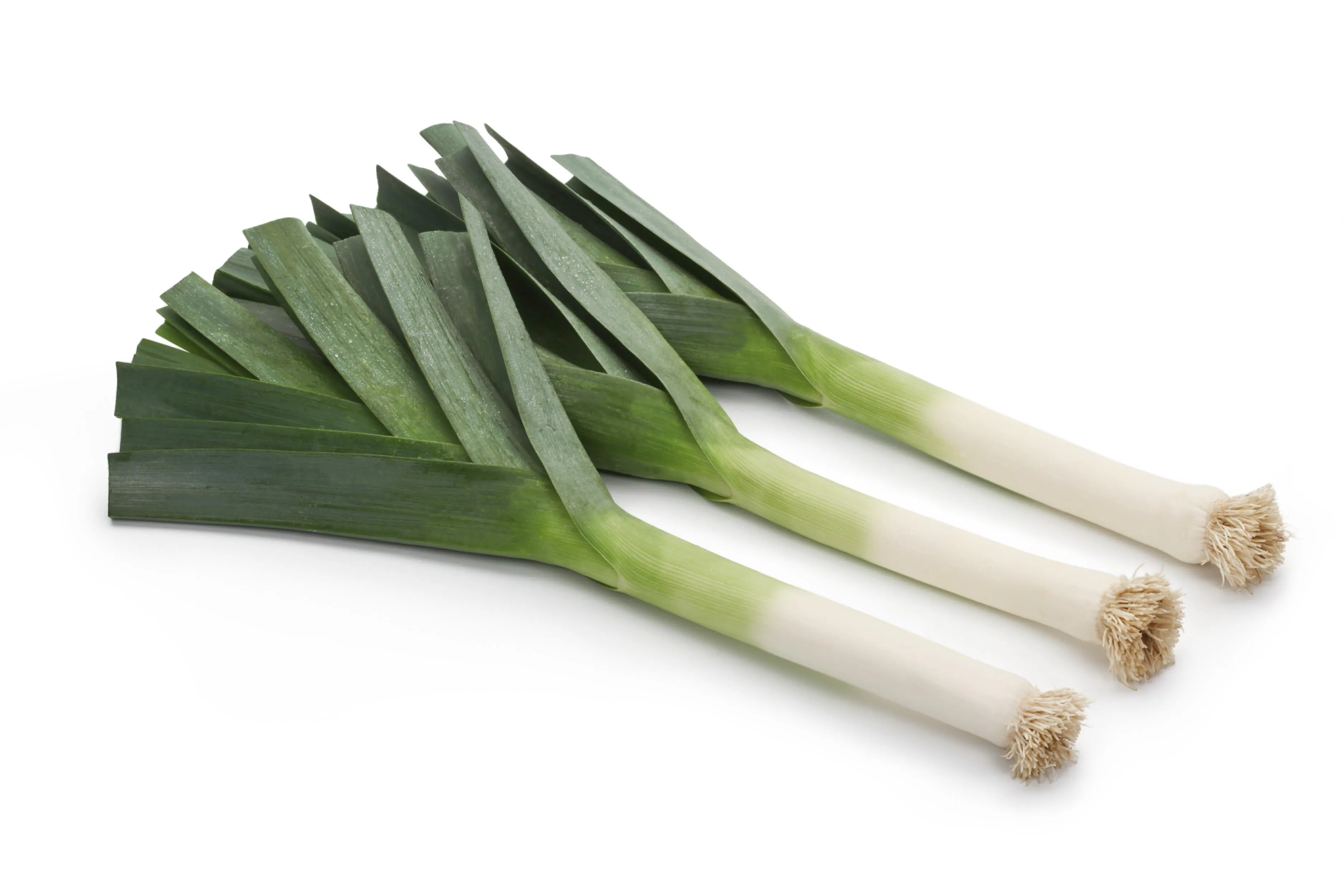 Leeks NL 5KG