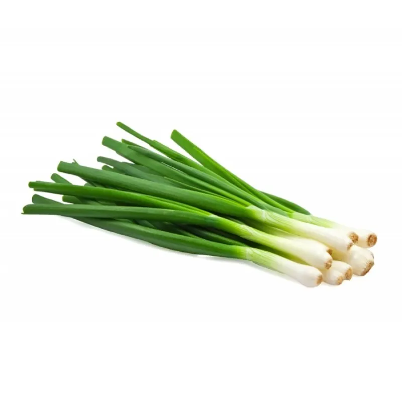 Scallions EG 14KPL