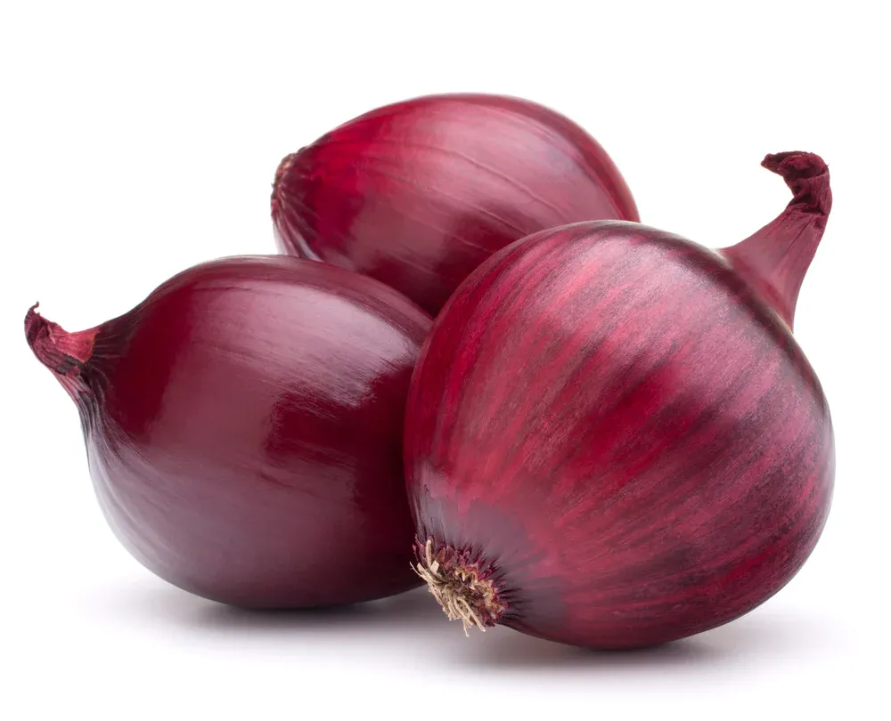 Red Onion NL 10KG