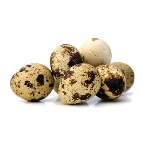 Quail Eggs 12 X 20PCS